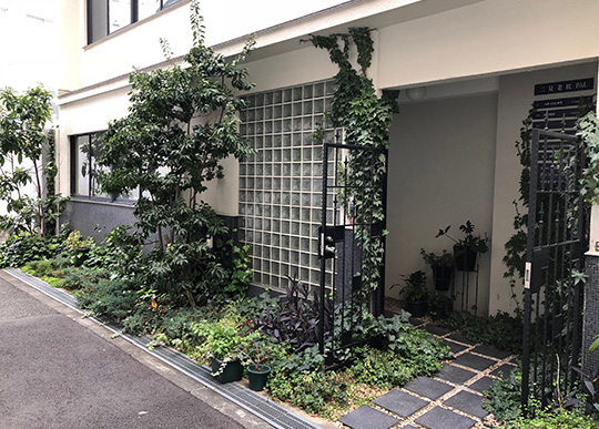 コハク（kohaku）