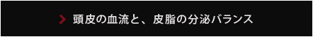 頭皮の血流と、皮脂の分泌バランス